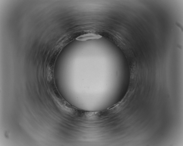 X0000099440136200805231726