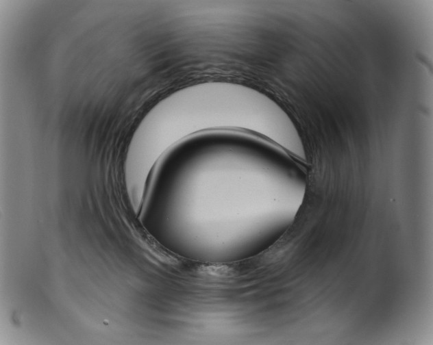 X0000099440137200805231726