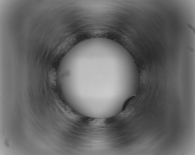 X0000099440138200805231726