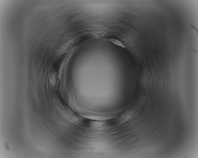 X0000099440139200805231726