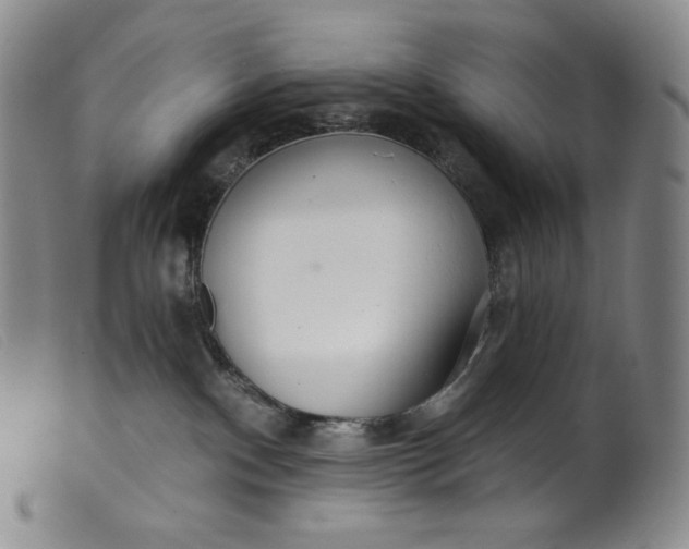 X0000099440140200805231726