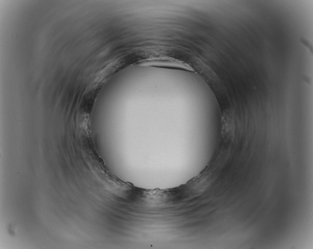 X0000099440141200805231726