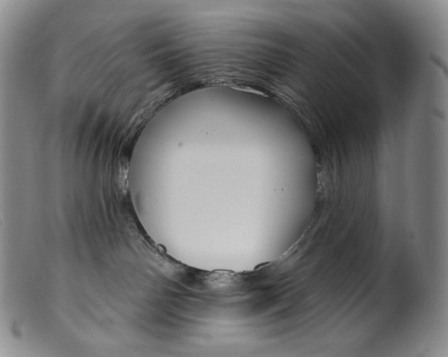 X0000099440142200805231726