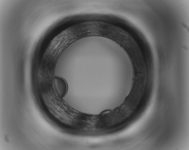 X0000099440143200805231726