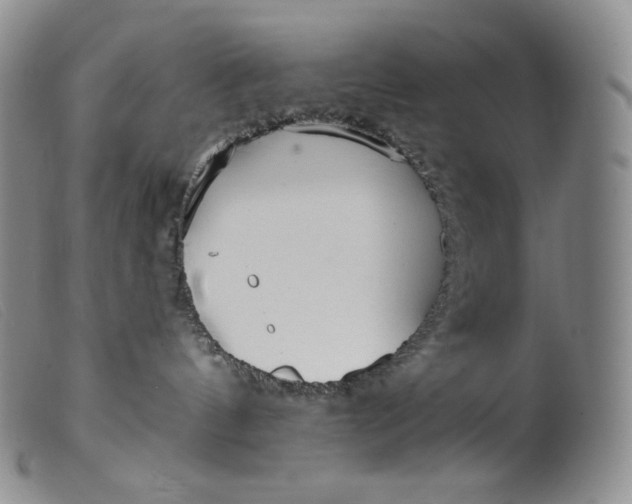 X0000099440144200805231726