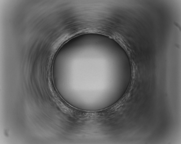 X0000099440145200805231726