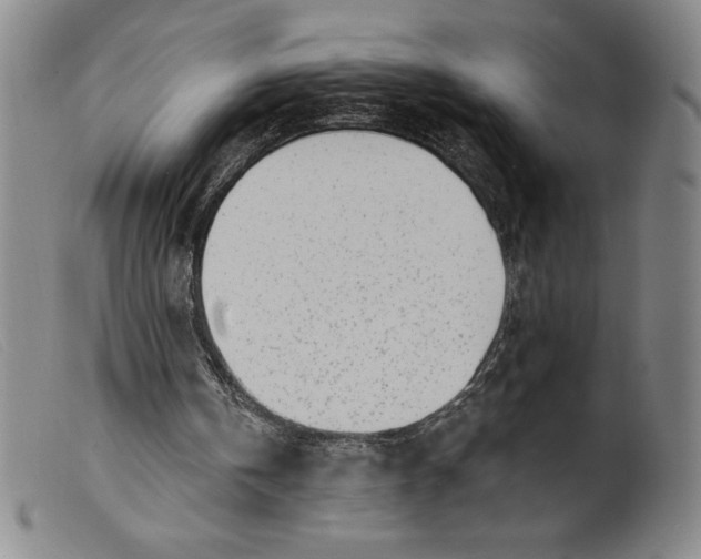 X0000099440146200805231726