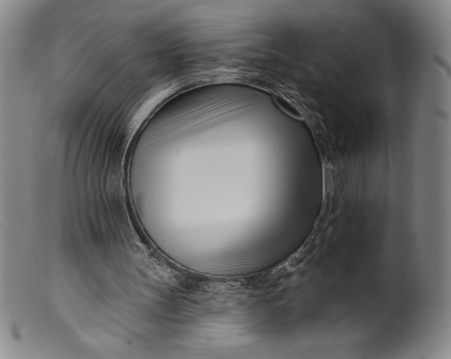 X0000099440147200805231726