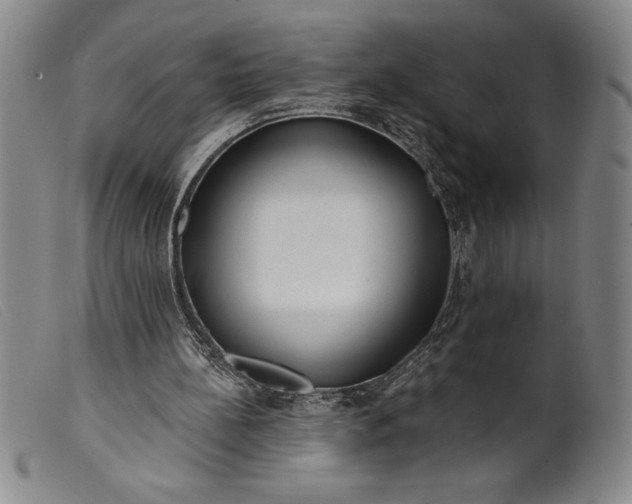 X0000099440148200805231726