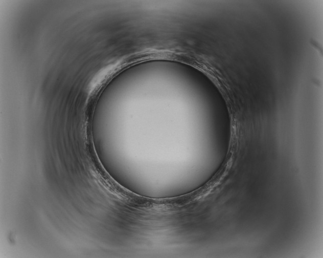 X0000099440149200805231726