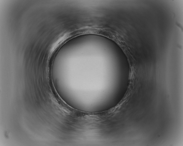 X0000099440150200805231726