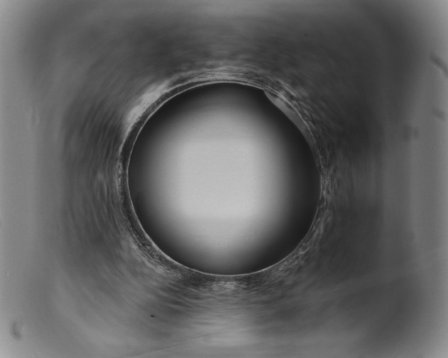 X0000099440152200805231726