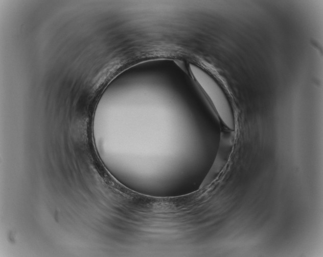 X0000099440154200805231726