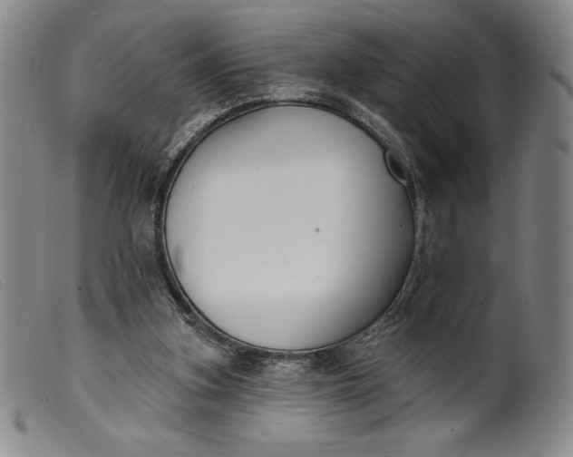 X0000099440155200805231726