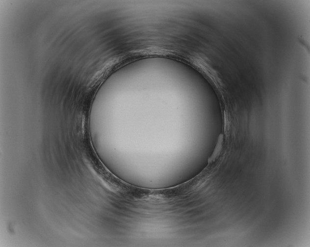 X0000099440157200805231726