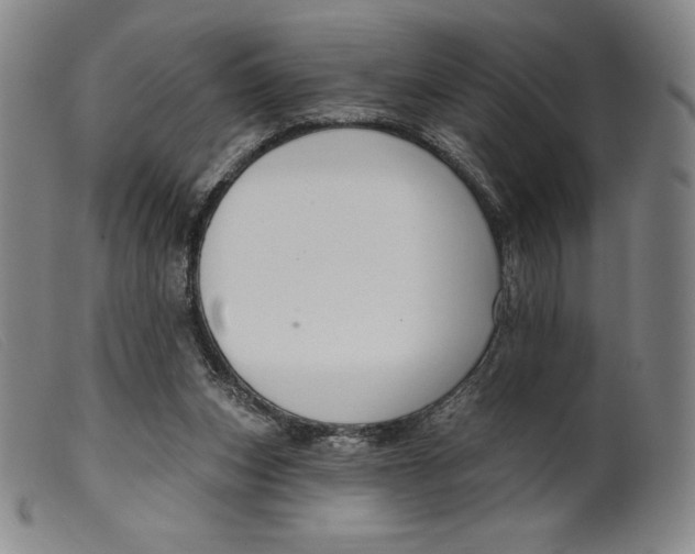 X0000099440159200805231726