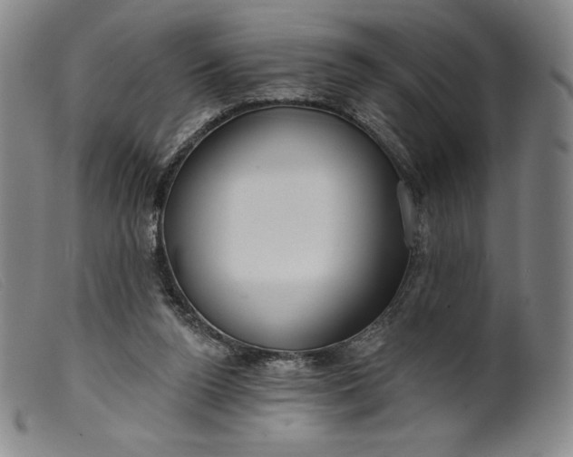 X0000099440160200805231726