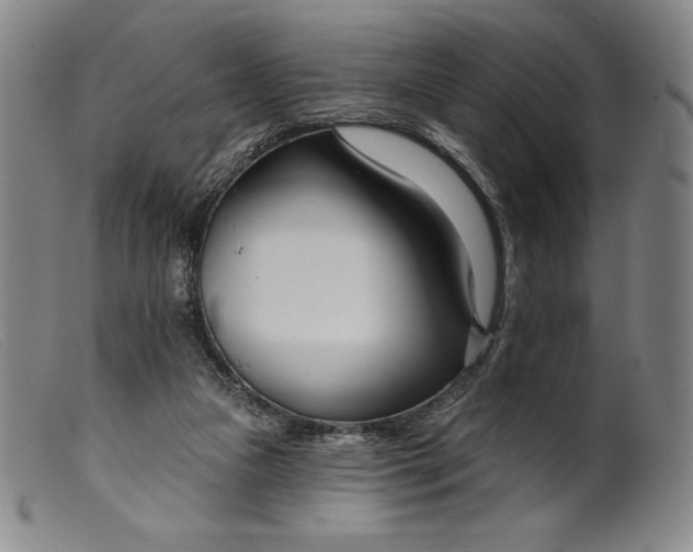 X0000099440161200805231726