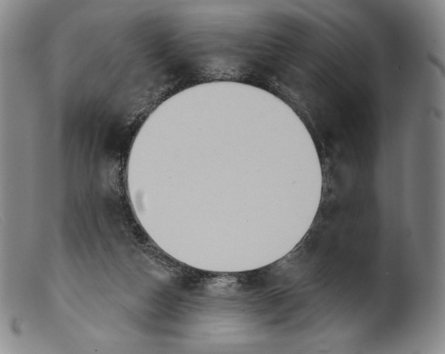 X0000099440162200805231726