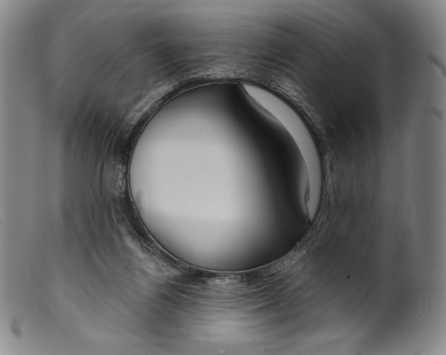 X0000099440164200805231726