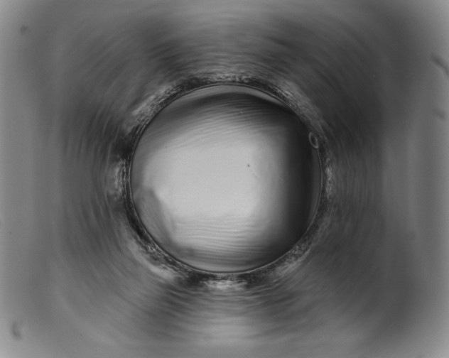 X0000099440165200805231726