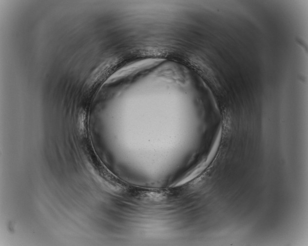 X0000099440166200805231726