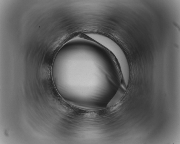 X0000099440168200805231726