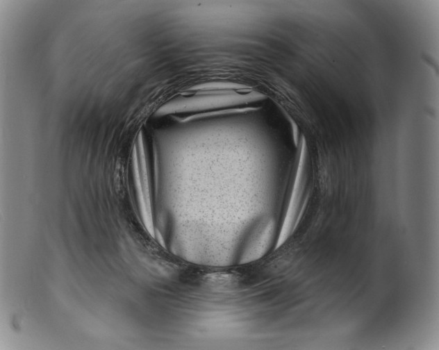 X0000099440169200805231726