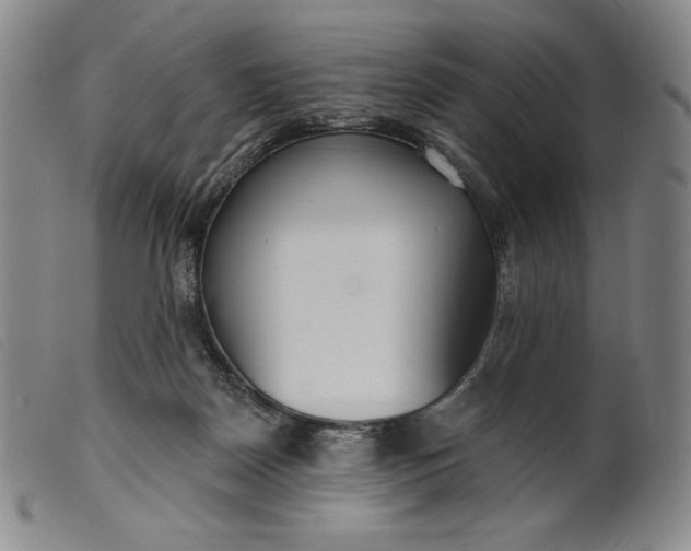 X0000099440170200805231726