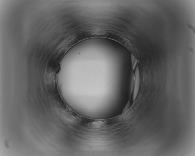 X0000099440172200805231726