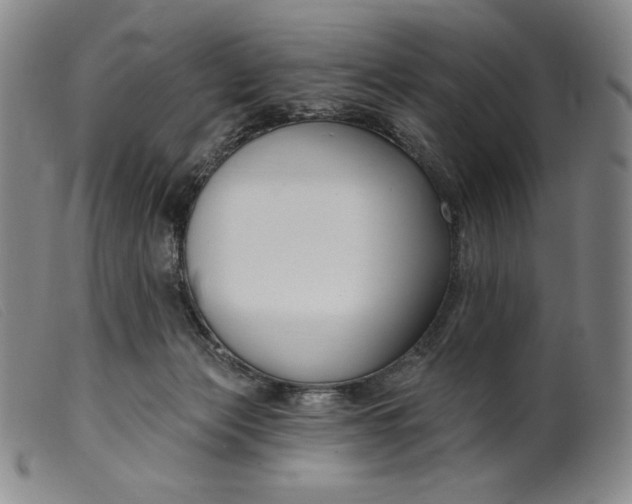 X0000099440173200805231726