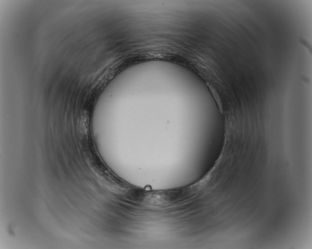 X0000099440174200805231726