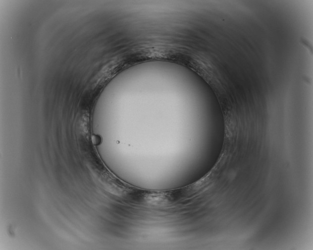 X0000099440175200805231726