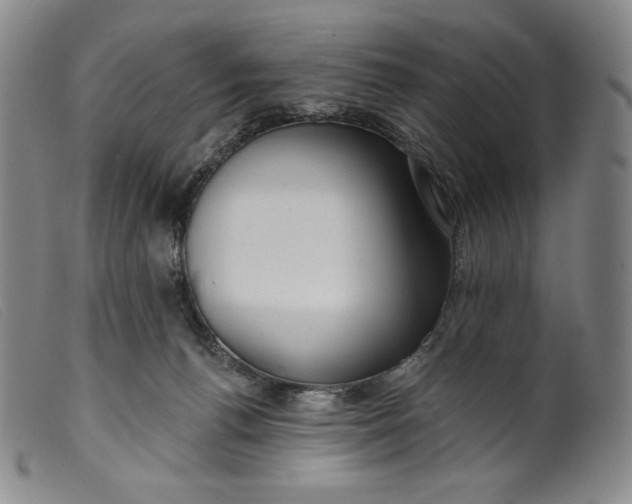 X0000099440176200805231726