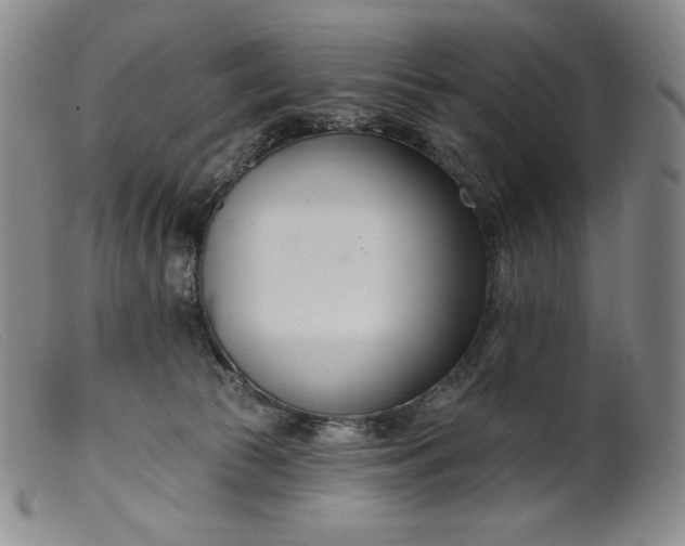X0000099440177200805231726