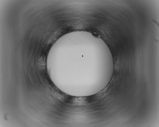X0000099440179200805231726
