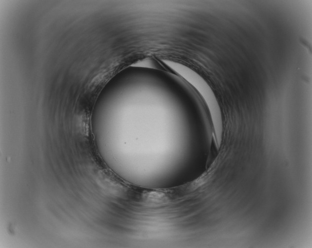 X0000099440180200805231726