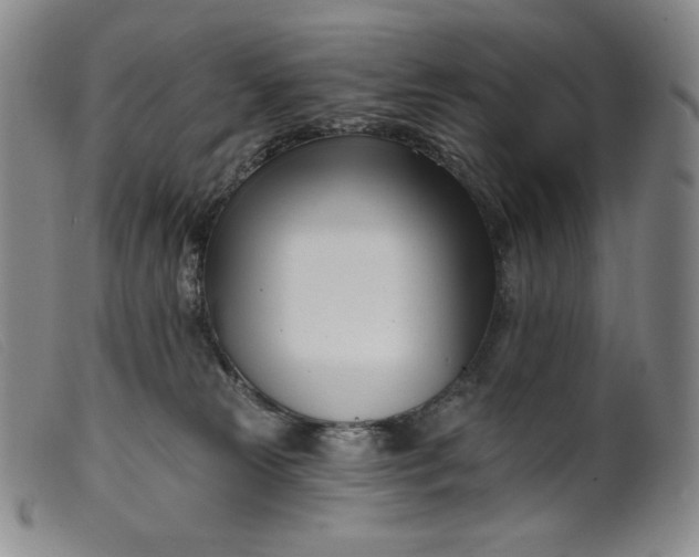 X0000099440181200805231726