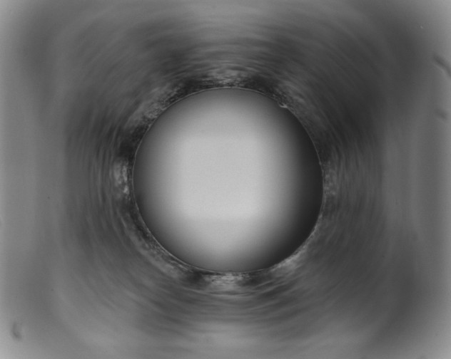X0000099440182200805231726
