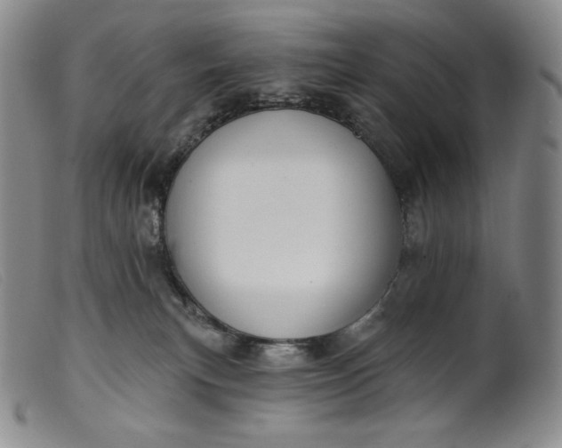 X0000099440183200805231726