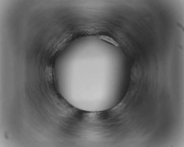X0000099440184200805231726