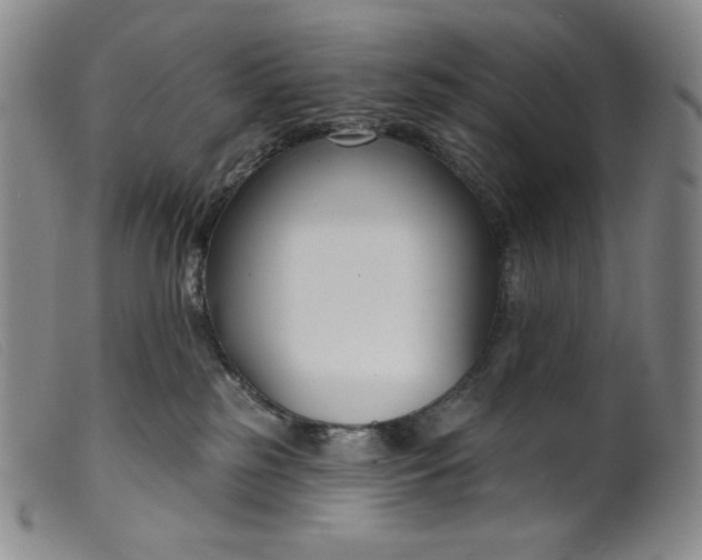 X0000099440185200805231726