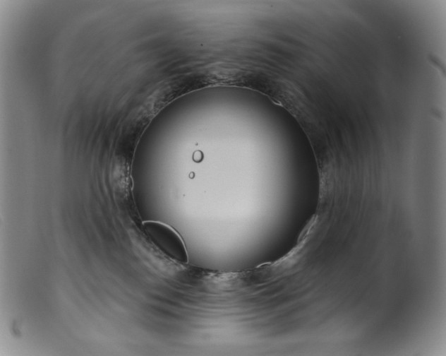 X0000099440186200805231726