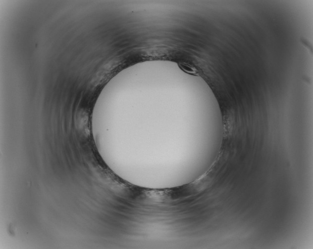 X0000099440187200805231726
