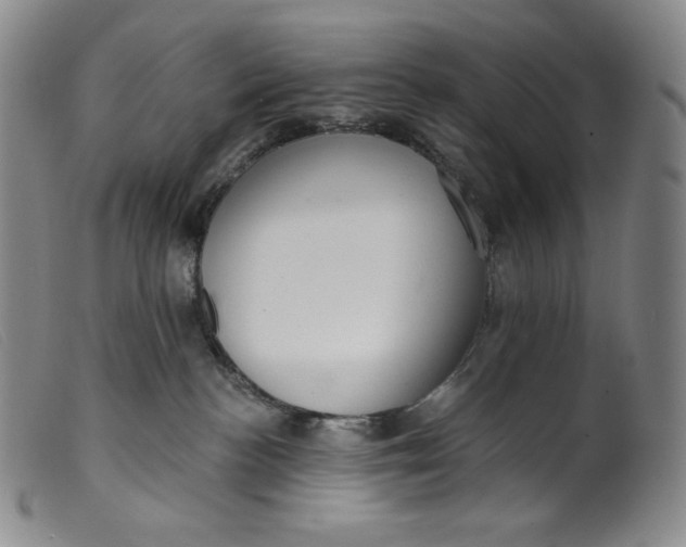 X0000099440188200805231726