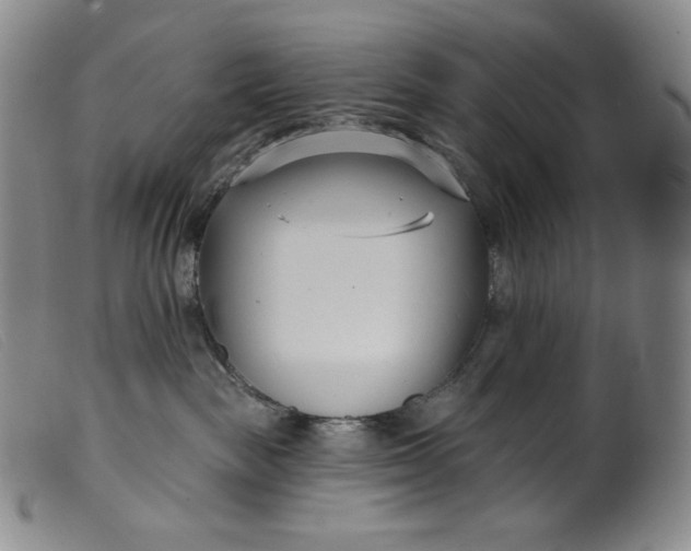 X0000099440189200805231726