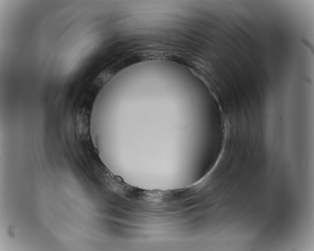 X0000099440190200805231726