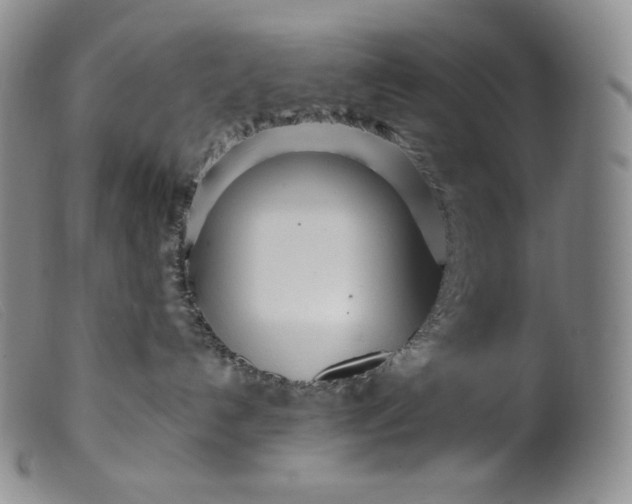 X0000099440192200805231726