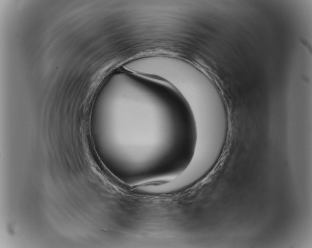 X0000099440193200805231726