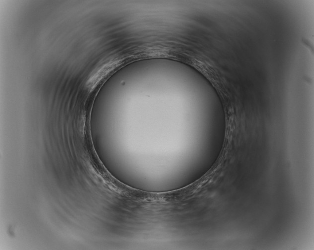 X0000099440194200805231726